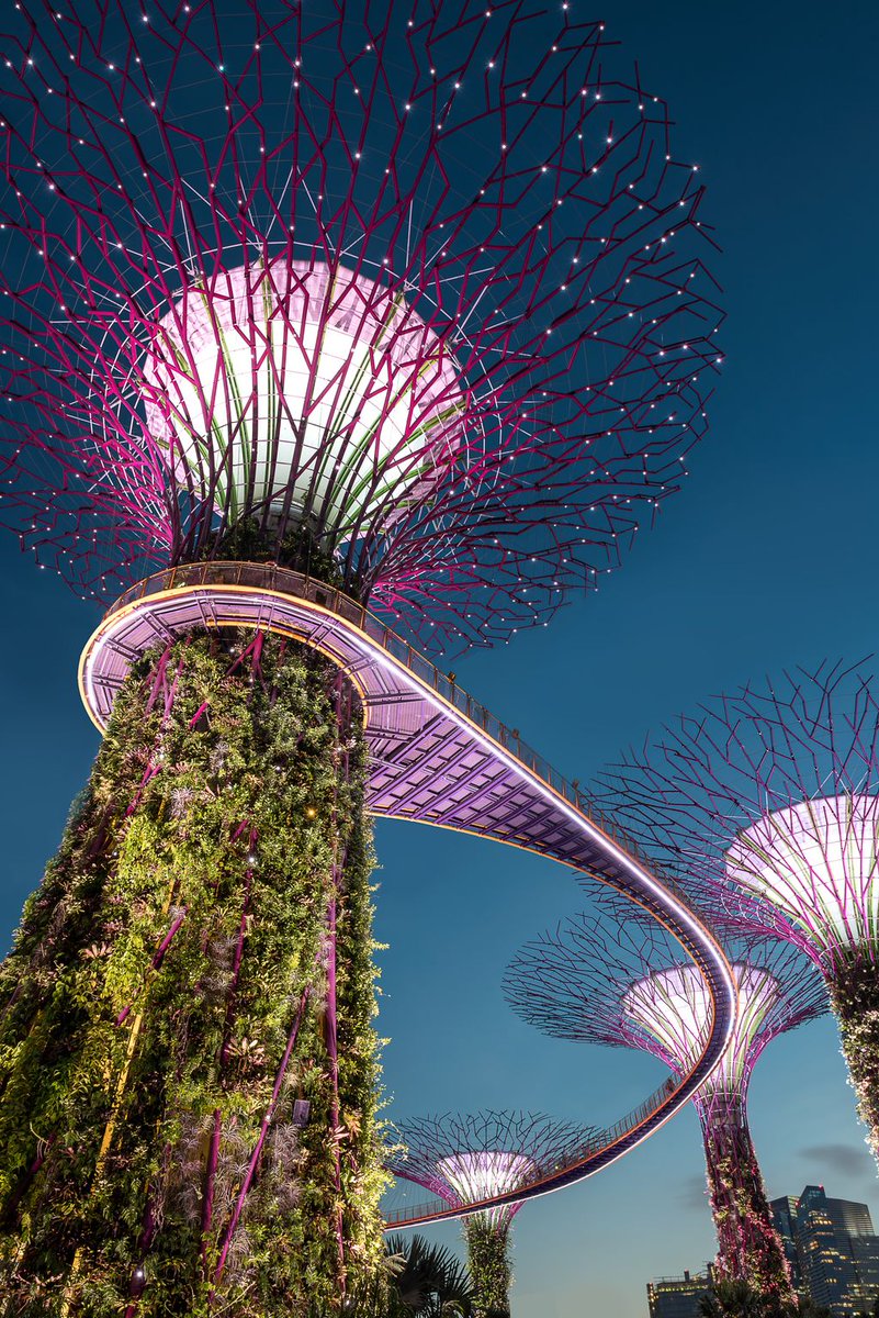 OpenSignal (@opensignal) on Twitter photo 2018-12-14 02:20:03 Why is network response time so important? And how do #Singapores ๐ธ๐ฌ#mobile operators fare in the #latency race? Find out in our latest blogpost ๐ buff.ly/2Qpdto4 Why is network response time so important? And how do #Singapores ๐ธ๐ฌ#mobile operators fare in the #latency race? Find out in our latest blogpost ๐ buff.ly/2Qpdto4