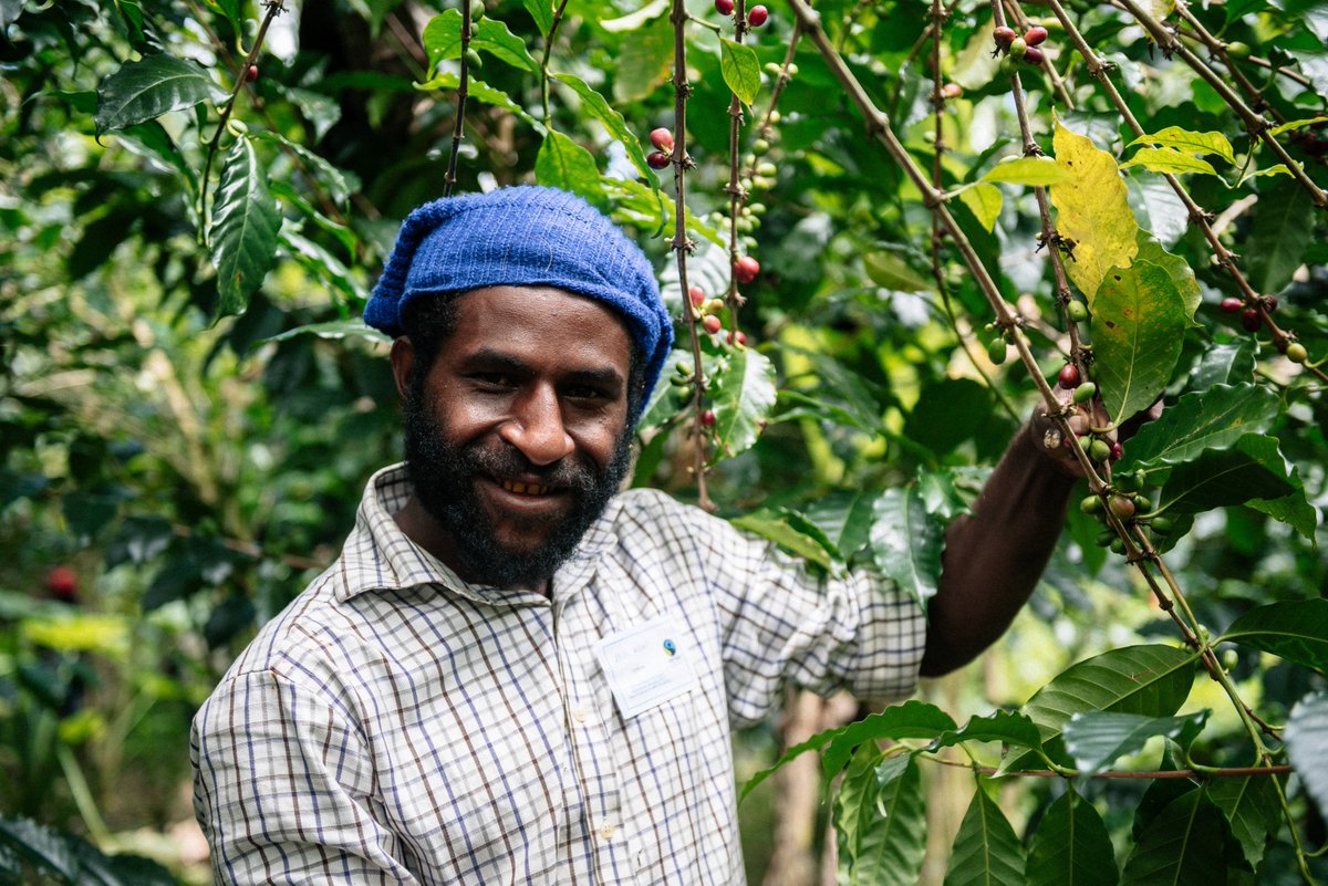 The #Fairtrade family in the Pacific keeps growing! 

In October, we welcomed two new coffee-producing cooperatives in Papua New Guinea:

➡️bit.ly/2PB0wSQ

#ChooseFairtrade 

🌏🇵🇬☕️
