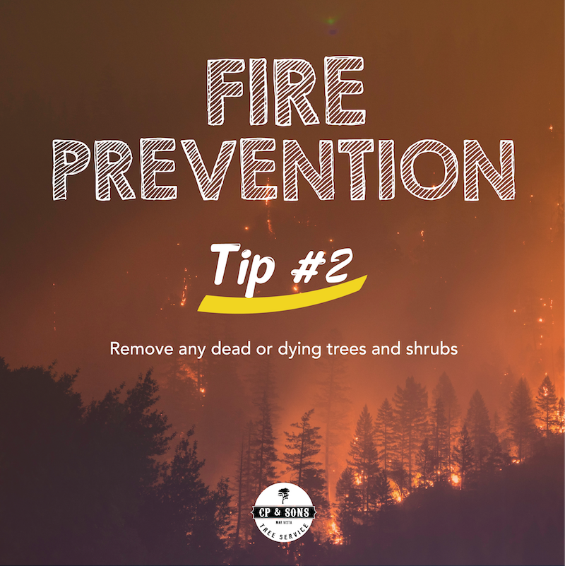 Wildfires are attracted to dead or dying trees and shrubs. Always remove these immediately to protect your home.

#Woolseyfire #Wildfire #Fire #Malibustrong