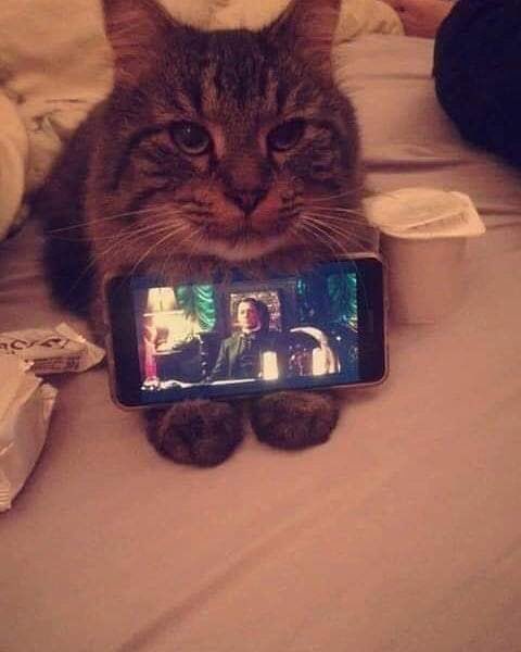 مفكر انه هياكل و ينام في البيت من غير شغل.