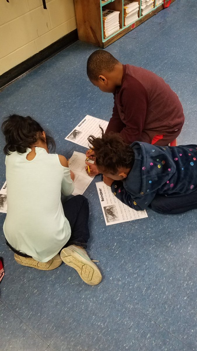 jheritsch's tweet photo. Students were learning to work together and use the text to record facts about reindeer. #firstgrade @OESrockSTARS @suptking https://t.co/3Cu7uTTAbo