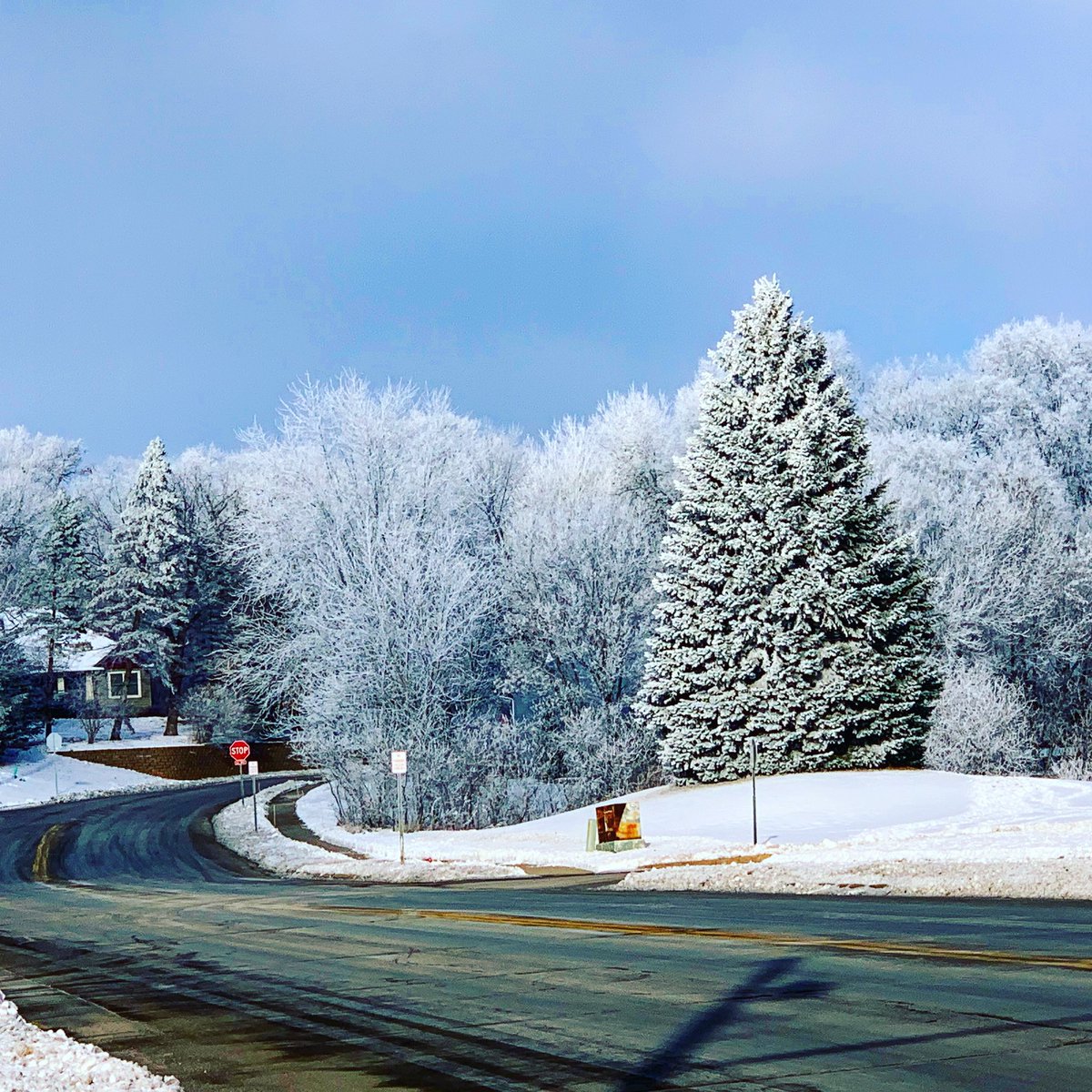 Amanda Fay (@amandalfay) on Twitter photo Sometimes winter is a truly a beautiful thing! I wouldn’t see this beauty if I didn’t get to cross the street and work at two great middle schools every day! #winter #midwest #trees #lookonthebrightside <a href="/skuznetsov84/">Sasha Kuznetsov</a> <a href="/DanDredwards/">Dr. Dan Edwards</a> <a href="/isd719/">Prior Lake-Savage Area Schools</a> #plsas #pl4l Sometimes winter is a truly a beautiful thing! I wouldn’t see this beauty if I didn’t get to cross the street and work at two great middle schools every day! #winter #midwest #trees #lookonthebrightside <a href="/skuznetsov84/">Sasha Kuznetsov</a> <a href="/DanDredwards/">Dr. Dan Edwards</a> <a href="/isd719/">Prior Lake-Savage Area Schools</a> #plsas #pl4l