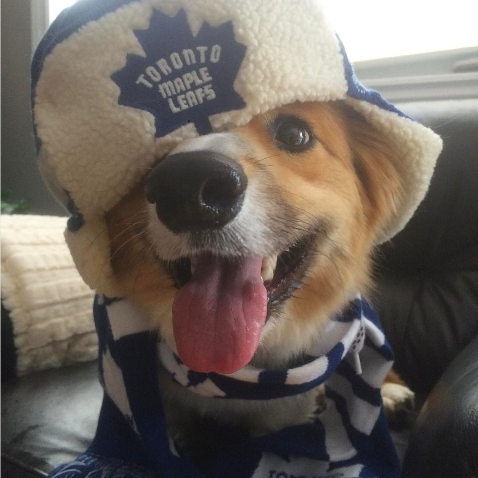BlackLabBeer's tweet photo. The @MapleLeafs on One TV. Fireplace Channel on the Other. It is rather cozy in here, so why not swing by?! Our fridge is FULL of beer and you can order-in anything you like to munch on! #WeHaveNapkins
#CraftBeerTO #MapleLeafsAndBeer #TorontoBreweries #LeslievilleLiving https://t.co/KlRn1Msin1