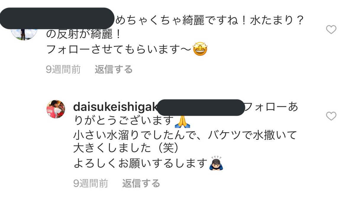 インスタ蝿