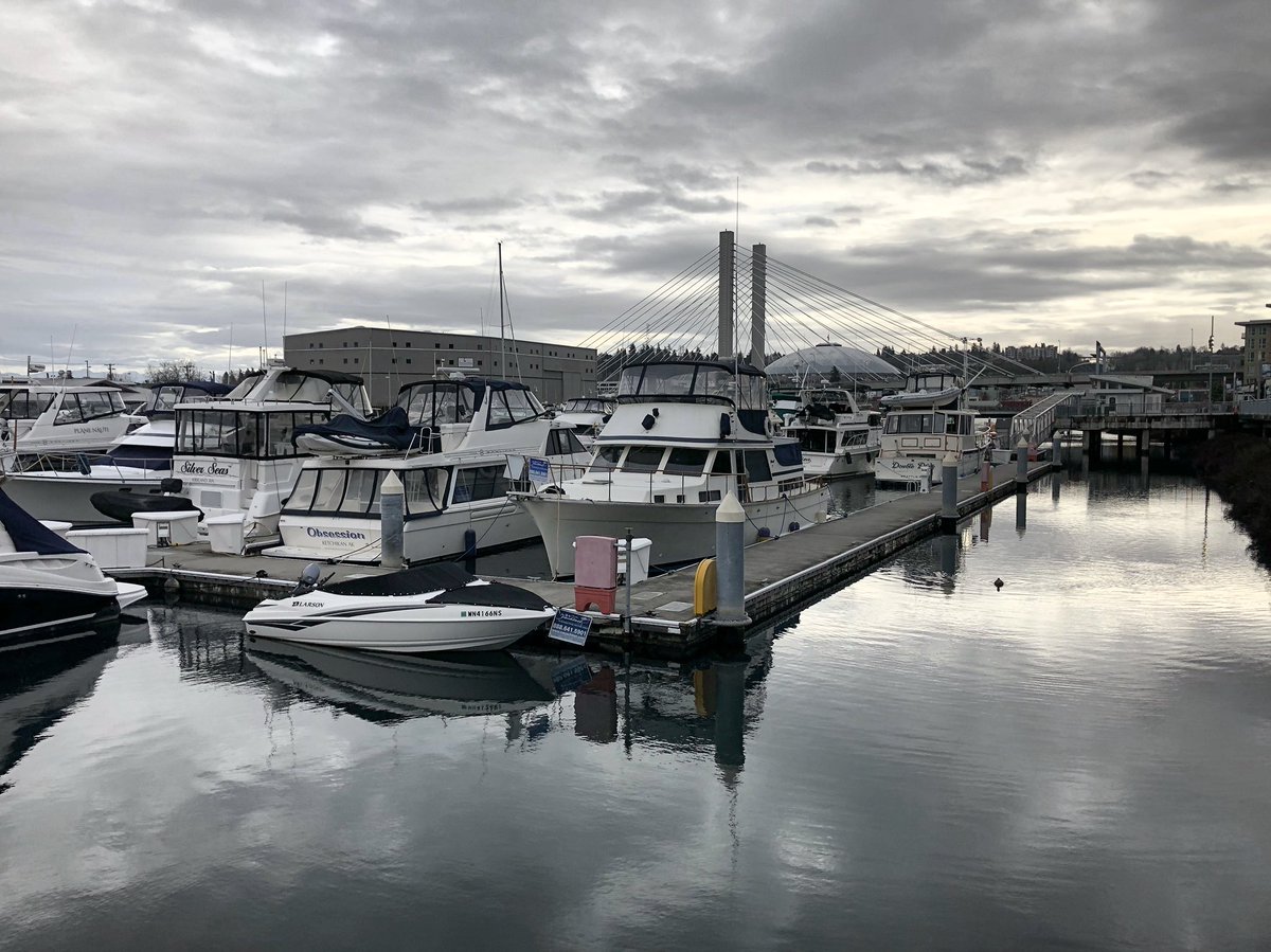 Even on the gray days, marina life is pretty beautiful. #tacoma #marinalife