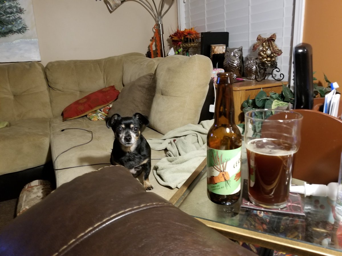 Almost caught up day 12 from the Netherlands. My Dog is eyeing me up in shame. This is a sweeter tasting Smoked Rye Scottish Ale. My beer tastes are all over the map. These days. Just like this Calendar
