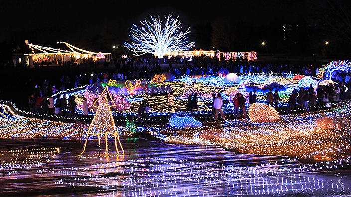 ninja_hub's tweet photo. How is Christmas in Japan?🎄
You can appreciate illuminations throughout Japan.✨
Let's ask for recommended places in NinhaHub.✍️
https://t.co/8nrKQVQipu
#Christmas #japan #japanese #illumination #tokyo https://t.co/45Wk6WL9X1