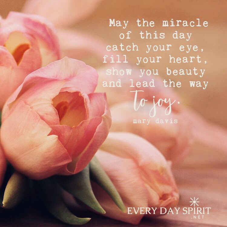 1228erin's tweet photo. @eldiablo0786 @loveGoldenHeart @MacceVerane @salvadorpano @alexdomelle May the miracle of this day catch your eye, fill your heart, show you beauty and lead the way to #Joy ๐๐๐๐๐๐๐#JoyTrain #ThursdayThoughts #FridayFeeling #GratefulForYou #KindnessMatters #Gratitude #LiveWithPositivity #LOVE https://t.co/35lovCETyp