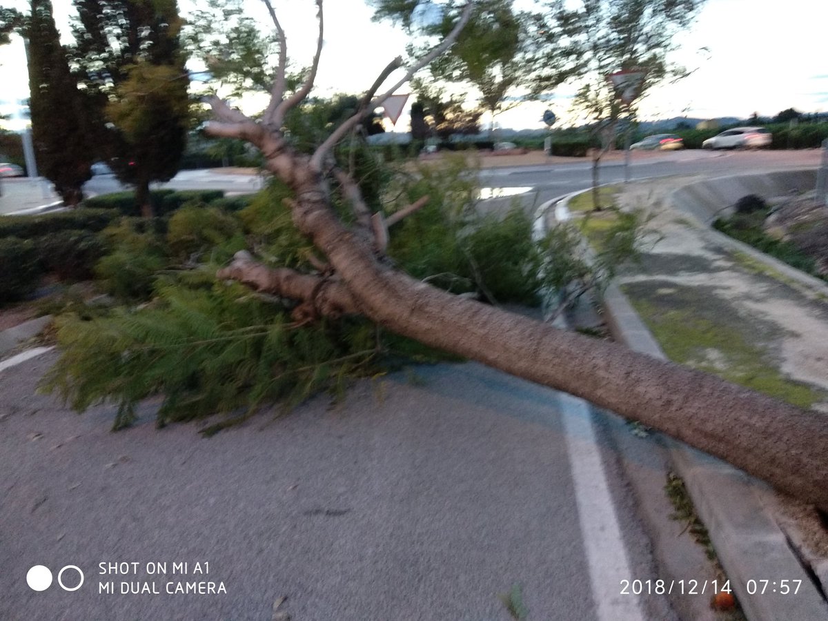 alexelchato's tweet photo. @MeteOrihuela En la entrada de San Bartolomé a consecuencia del temporal ha sido tirado un arbol https://t.co/6QV4qkvJRT