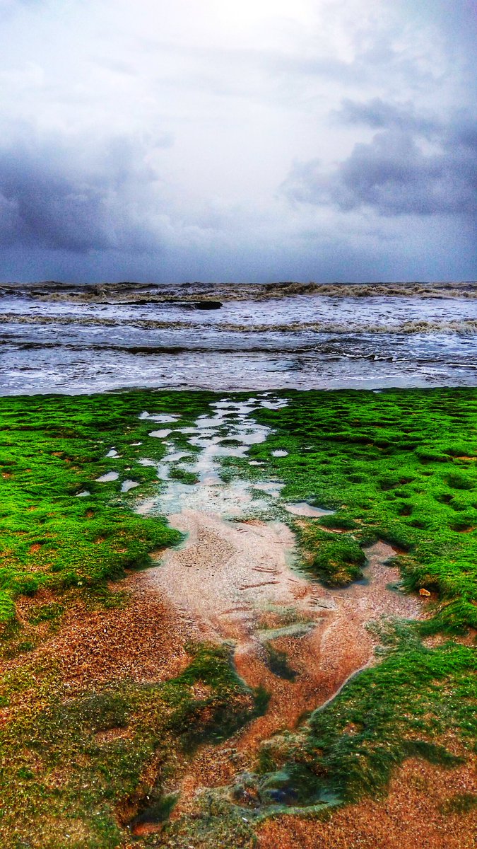 Balajimk_'s tweet photo. Started the journey from a small stream to a huge sea.
Life is all about the initial struggle and the enormous outcome of it.
.
.
#Goa #GoaDiaries #anjunabeach #anjunabeachgoa #arabiansea #beach #beachlife #beachesofindia
#travel #travellife #travelphotography #mobilephotography https://t.co/0KQxTJ9FCN