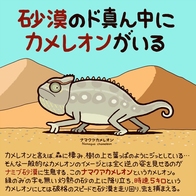 動物豆知識のtwitterイラスト検索結果 動物豆知識のtwitterイラスト検索結果