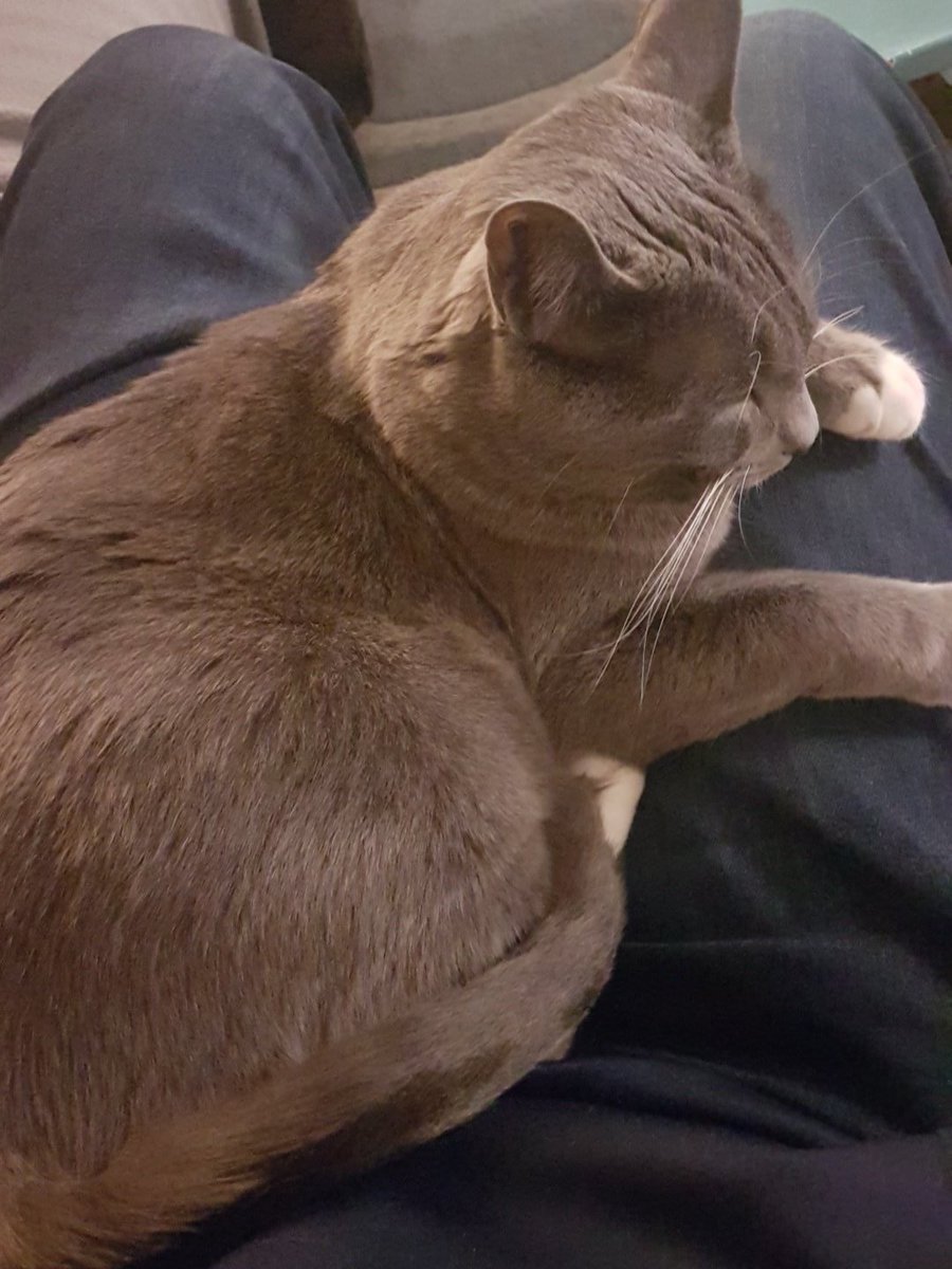 Put the computer down for 1 second and... I guess it's time for a break!