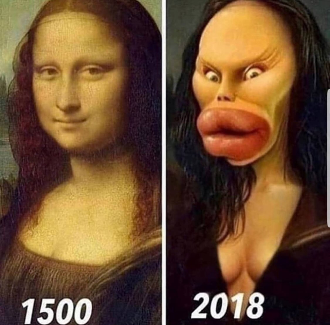 nondualrandy's tweet image. 🤣 🤣 🤣