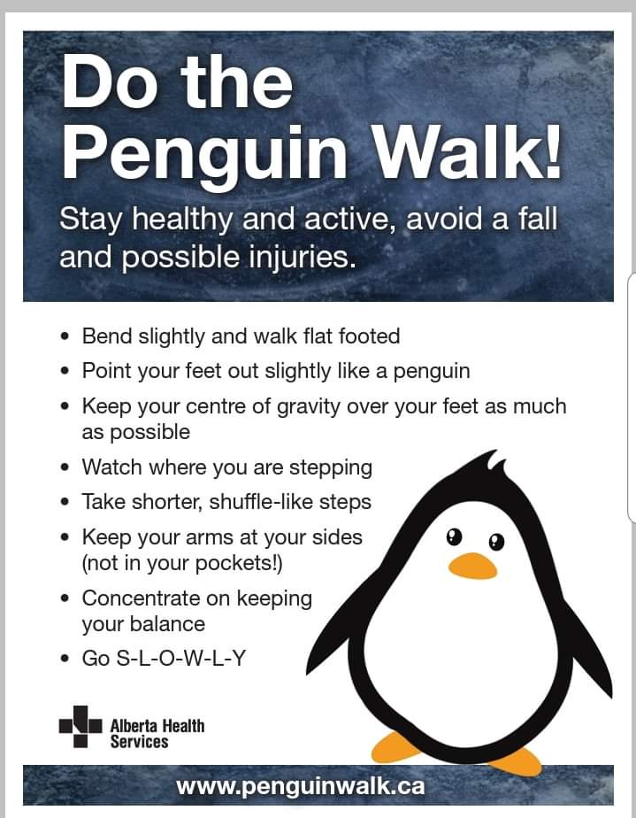 Good safety message from our government... we preach this to our drivers too... its that time of year to see the March of the brown penguins...😀😀🐧🐧 be safe out there