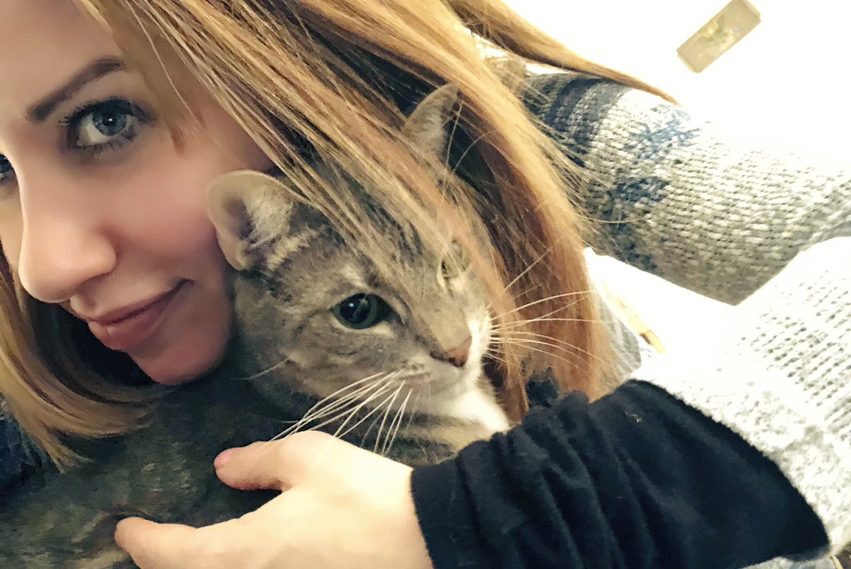 KateEppers's tweet photo. Excited to be hosting this sweet little houseguest soon! #kitty #meow #love #cute #cat #cats #catsofinstagram #ThursdayMotivation #kateeppers #SweetDreams #kittycat #tabbycat #WinterIn4Words #winter #Christmas2018 #Hanukkah #HappyHolidays #Cuddles #kitties #family #singer #fun https://t.co/Z0VPpByIM1