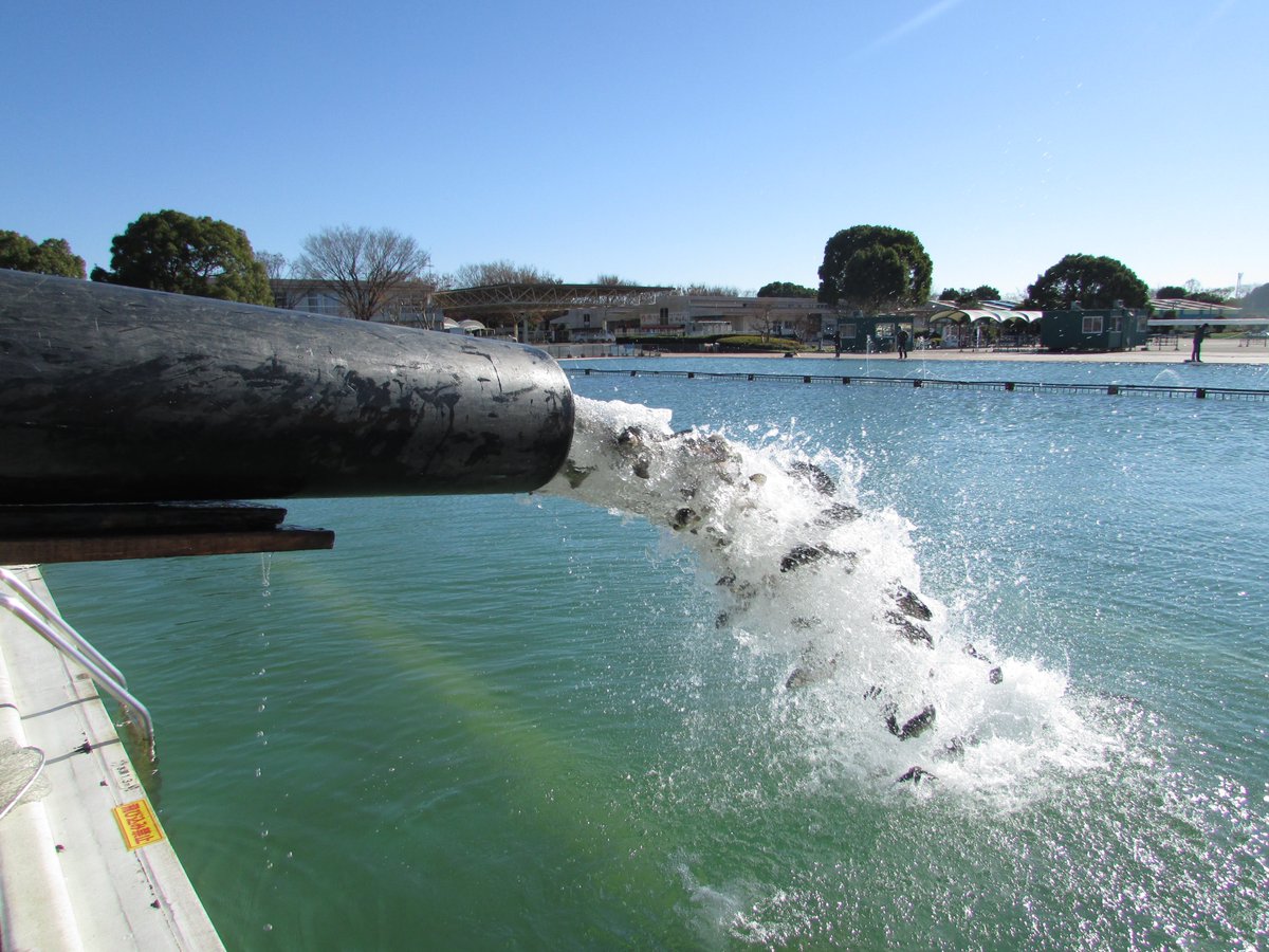 O Xrhsths 公式 川越水上公園 Sto Twitter 本日12月14日 お魚さんたちを放流しました 今回はサクラマスも入っています 風が強く 本格的な冬が到来した昨今ですが ぴちぴちのお魚さんたちが12月の川越を盛り上げてくれることでしょう ぜひ O Xrhsths 公式 川越水上公園 Sto Twitter 本日12月14日 お魚さんたちを放流しました 今回はサクラマスも入っています 風が強く 本格的な冬が到来した昨今ですが ぴちぴちのお魚さんたちが12月の川越を盛り上げてくれることでしょう ぜひ
