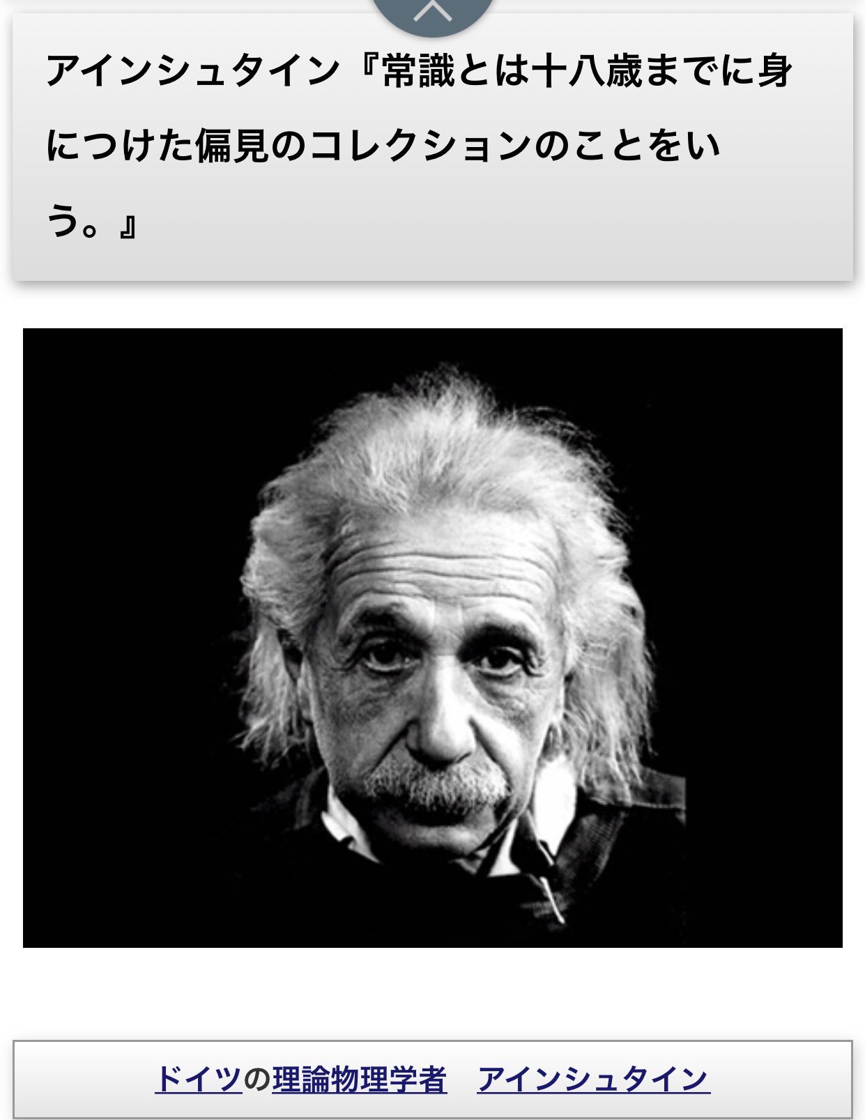 最も共有された アインシュタイン 常識