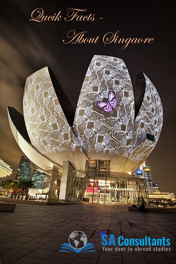 Sa Consultant Saconsultant2 Twitter