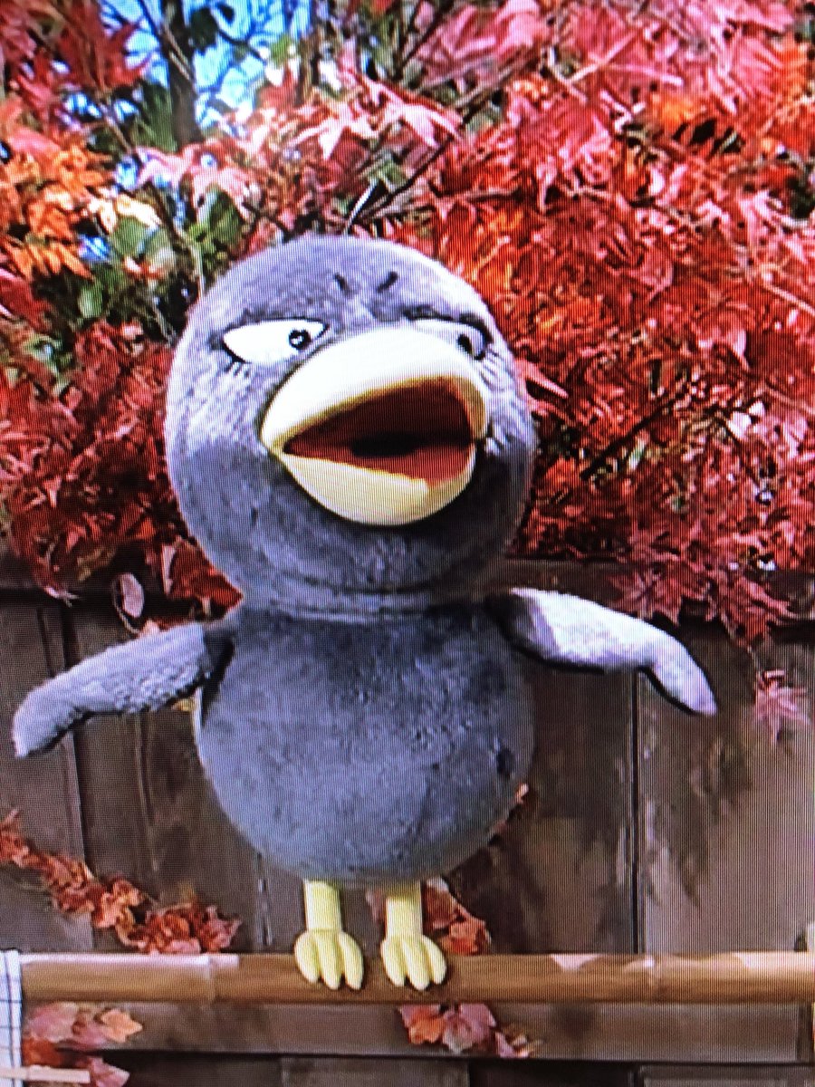 きょえちゃん