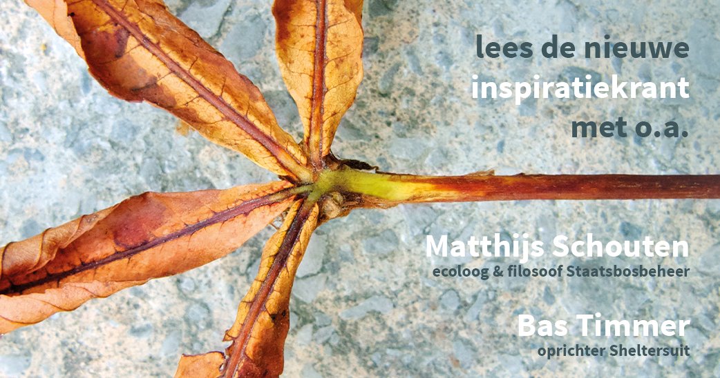 De nieuwe inspiratiekrant is uit! Boordevol interviews, zinnige zinnen, boekrecensies en, deels nieuwe, activiteiten. Wil je hem ook ontvangen? Schrijf je dan nu in! barmhartigheid.nl