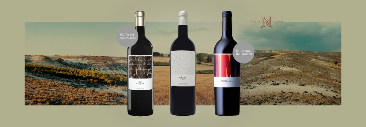 Los vinos tintos Matallana de Telmo Rodríguez son los vinos Gazúr (91Peñín), M2 de Matallana (93 Parker-91 Peñín) y Matallana (95 Parker-92 Peñín-93 Suckling).
Están elaborados por Telmo Rodríguez y Pablo Eguskiza. Contienen un color picota espectacular
#Enolovers #vinoscovigran