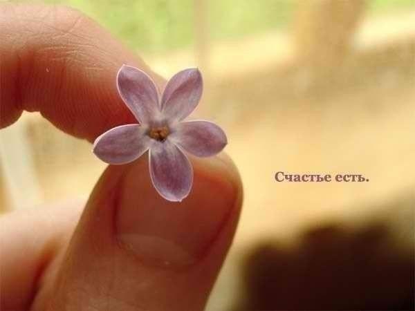 ...пожелать всем счастья