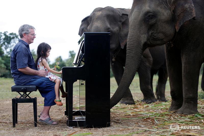 Reuters on Twitter "Music for elephants British classical pianist