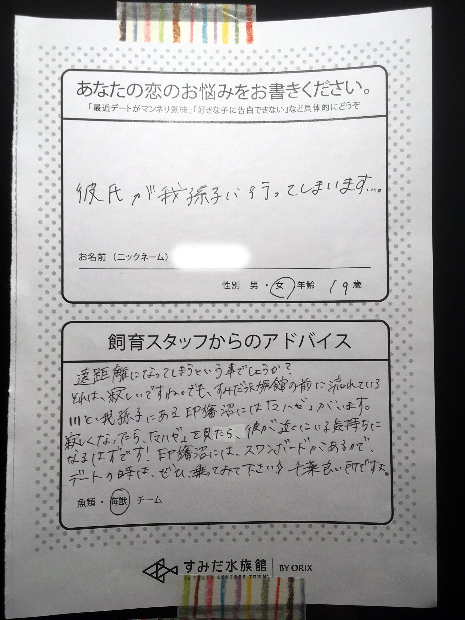 Twitter 上的 すみだ水族館 公式 あなたの恋のお悩み解決 恋の季節 恋愛相談を始めました 数々のいきものの恋と愛を見守ってきた飼育スタッフが 全力でお答えしています T Co Jpsovrttxw Twitter