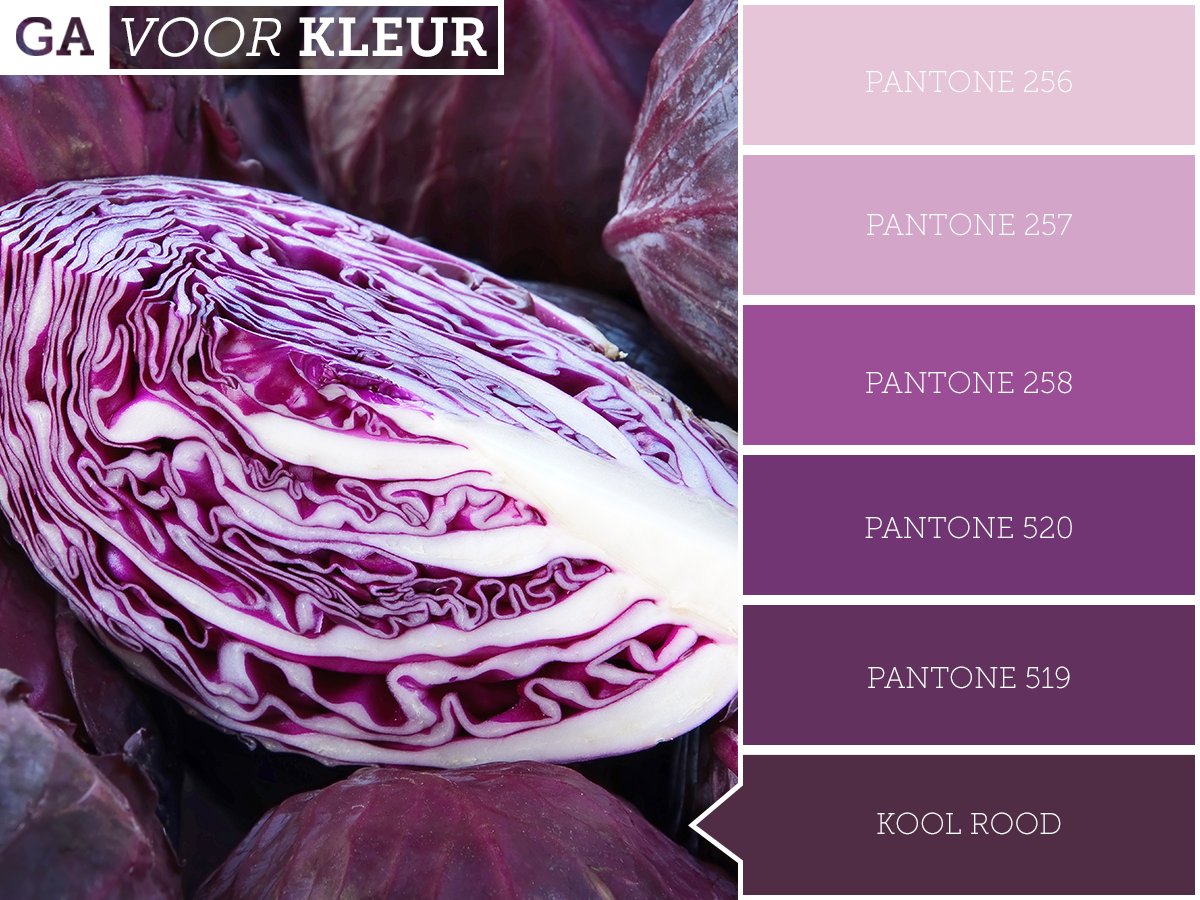 Het is vandaag #Paarse Vrijdag! De rode kool heeft ondanks zijn naam toch een mooie paarse kleur die altijd opvalt op je bord. Eet jij vaak rode kool? #gavoorkleur