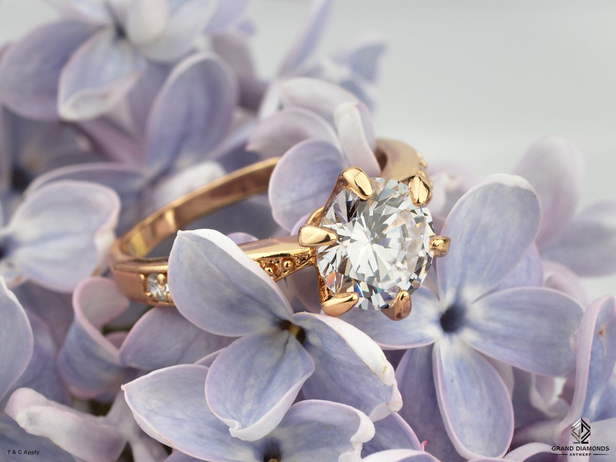 DiamondsGrand's tweet photo. Sleek simplicity.
Shop Grand Diamonds designer rings in this Holiday season: https://t.co/EaSsr37pPb
#shop #rings #diamond #jewelery #diamond #shopping #holiday #granddiamonds https://t.co/xbTZOhSby6