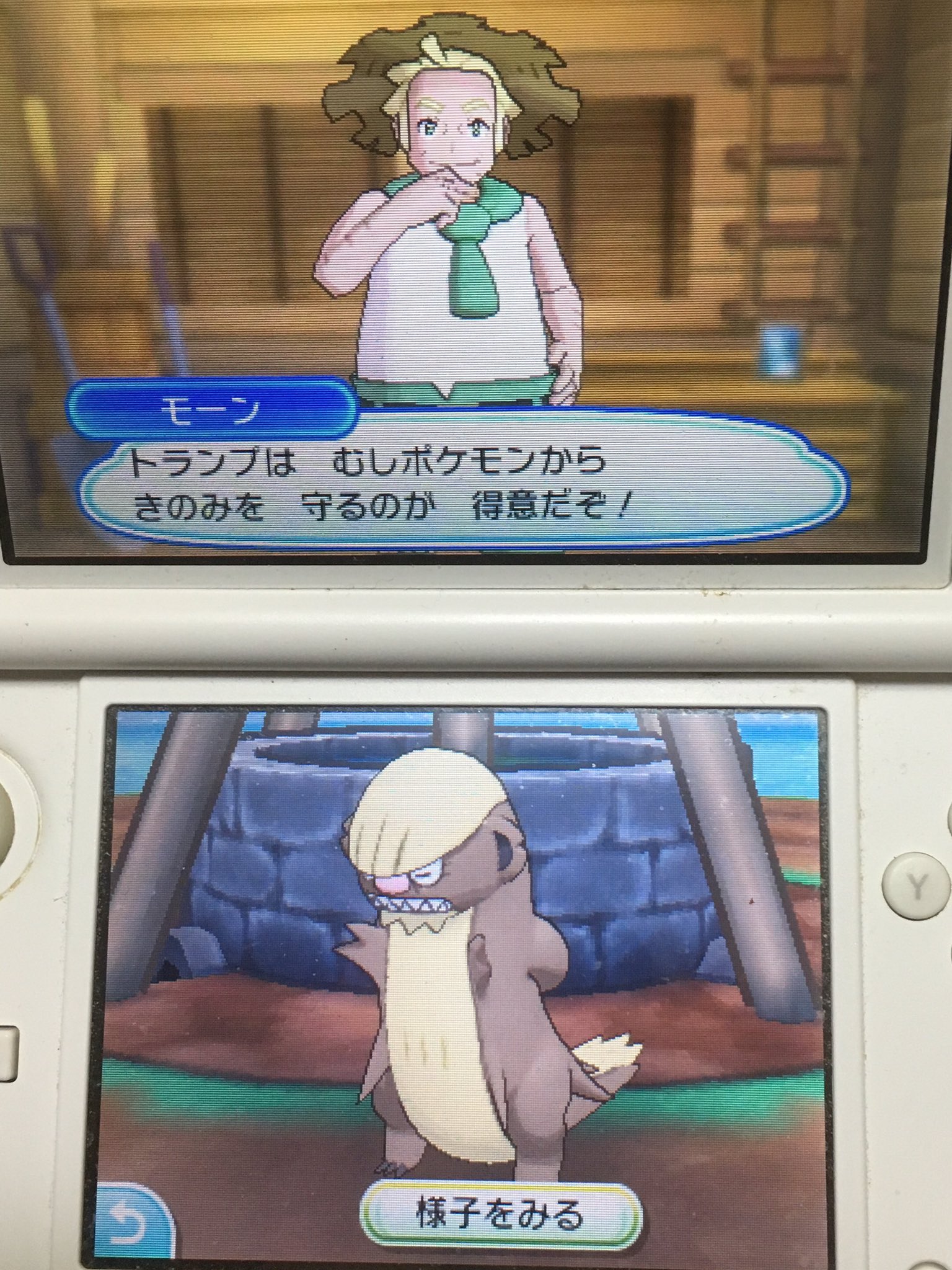 ポケリゾート Twitter Search Twitter