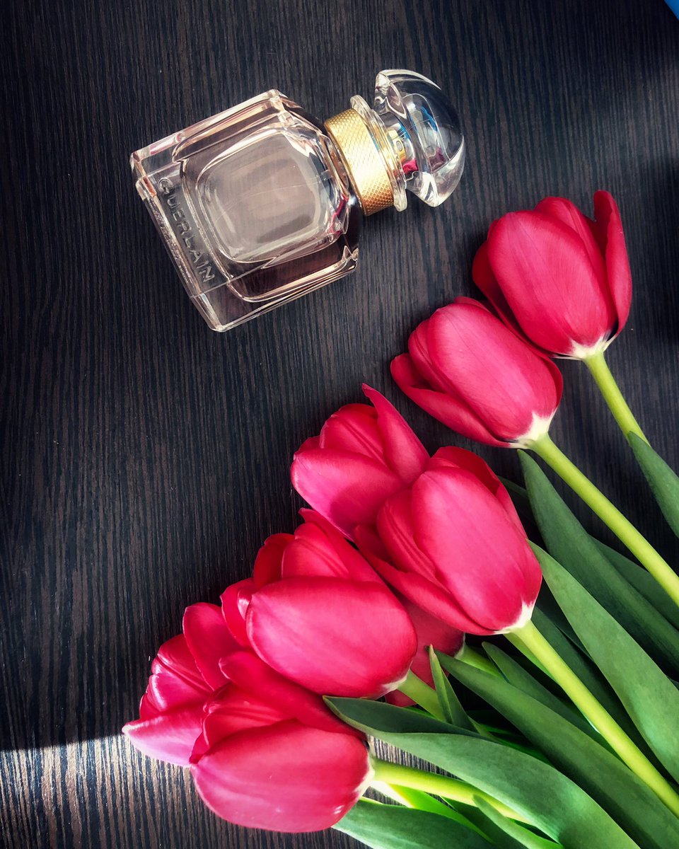 alina777step's tweet image. Thank you for the wonderful gift! 🌷