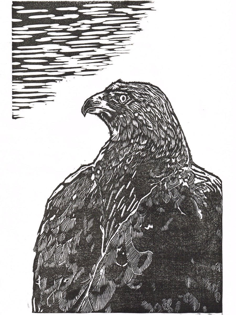 聰 木版画家 בטוויטר 木版画 木口木版で表現してます コワモテが多いなぁ あなたの鳥見せてください 木版画 木口木版 版画