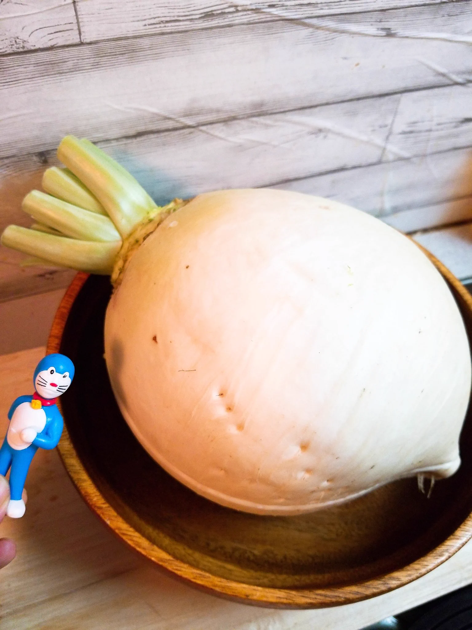 夢のアニメ飯！「のび太の日本誕生」の「畑のレストラン」を完全再現！