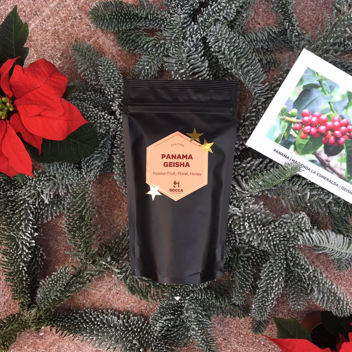 Celebrate the holiday season with this champagne of coffee: Panama Geisha. This limited edition is now available at Kerkstraat 96 and online:    bocca.nl/product/panama…