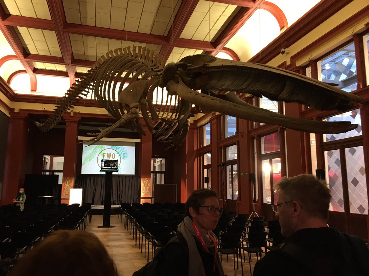 MissMpinzone's tweet photo. I might be guilty of lack of objectivity when I say that this is the #BEST venue of a #RBZS conference #EVER! 😁 Darwin Hall at @zooantwerpen
#Zoology2018 #RBZS2018 #BlueWhale #MarineMammals #whales #mylife https://t.co/DSezggKug8