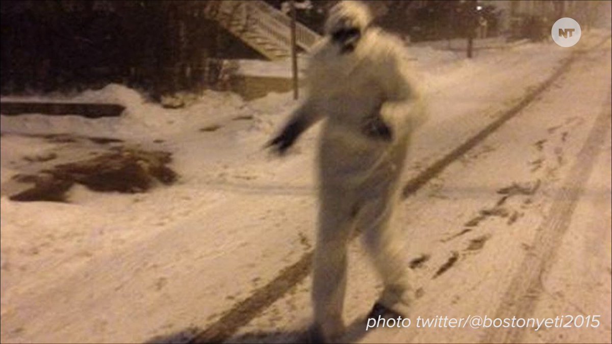 EL_Gaucho95's tweet image. An ÉL Gaúcho Leaker: I have received a photo from a credible source with what seems to this white furry creature that some are claiming to be #BigGirl