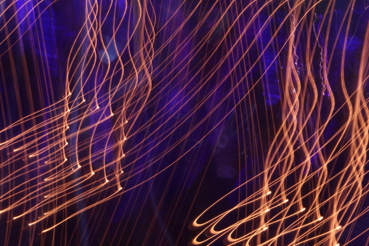 Akşit Togay'ın objektifinden Hayat Döngüsü.  Sonsuz sevgi saygı ve özlemle 💞#AkşitTogay