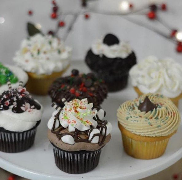 TogetherManatee's tweet photo. These treats from Cupcake Delights AMI have our sweet tooth singing! Which one would you pick? #TogetherManatee https://t.co/BNZl8q19se