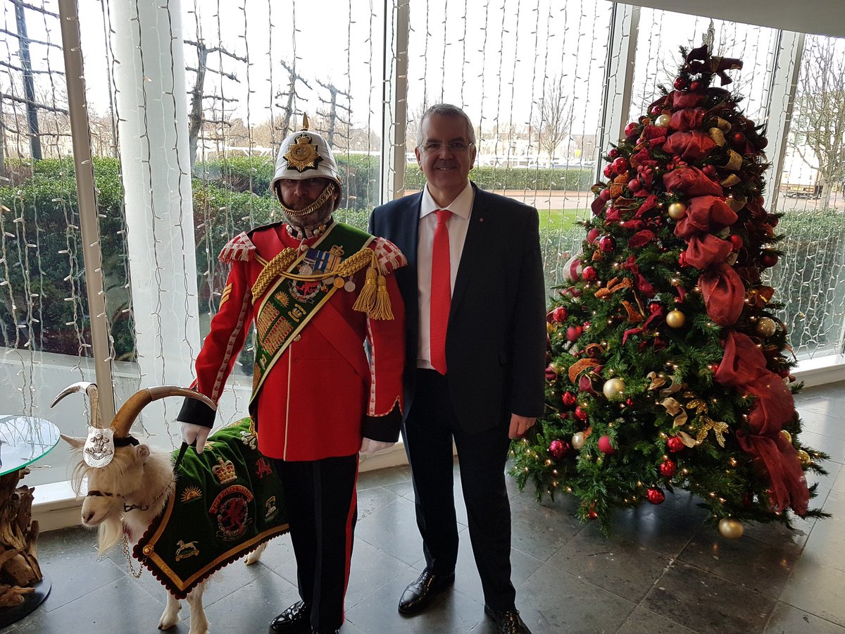 The Royal Welsh Goat tweet media