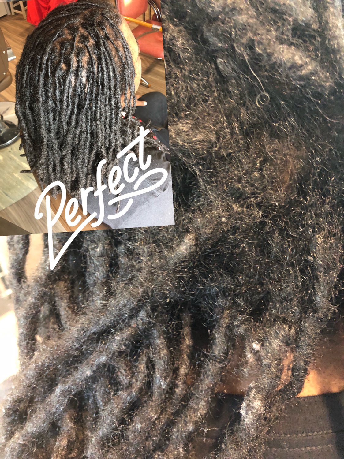 Dirty Dreadlocks