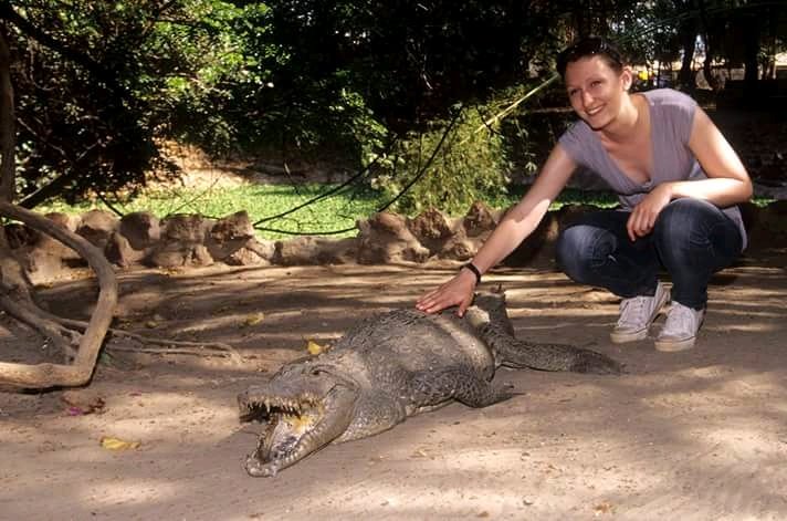 GeitzNancy's tweet image. 