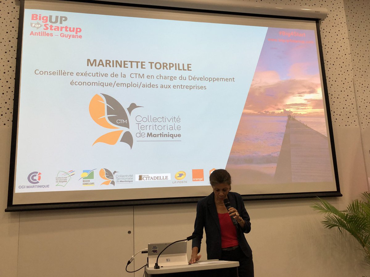 Pitch de Marinette Torpille <a href="/CTM_Martinique/">CTM</a> . Projets Foodteck / E Santé  17 projets reçus en réponse aux attentes de la CTM