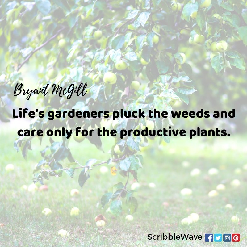 ScribbleWave's tweet photo. https://t.co/qlc7jJ9iIg
#ScribbleWave #planner #planneraddict #plannercommunity #productivity #gtd #bulletjournal #bujo #productiveday #productivityplanner #productivitytips #productivityhacks #productivityhabits #plannerlife #timemanagement #plannerinspiration #productive https://t.co/QnL5sKhHRK
