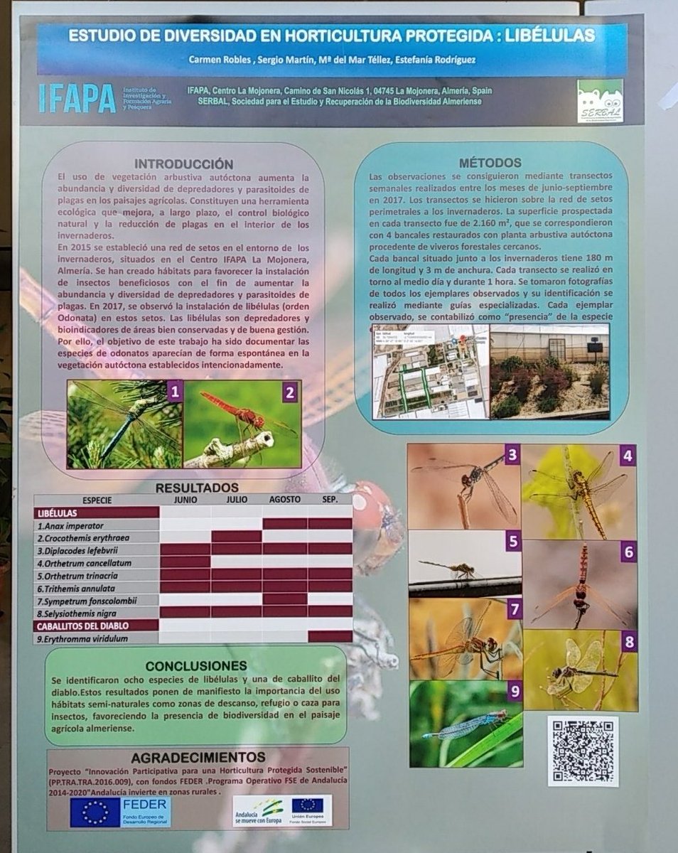 KarmaROVA's tweet photo. #Desgrana5 #PosterDC5 #Libelulas
Aquí os dejo mi póster 🤹♀️🐝🐞🕷️🕸️🐛🦋🐜 @Sci_Granada @Victagua @metilado @scariosHR @josef_ramirez https://t.co/4s5nUs3IlM