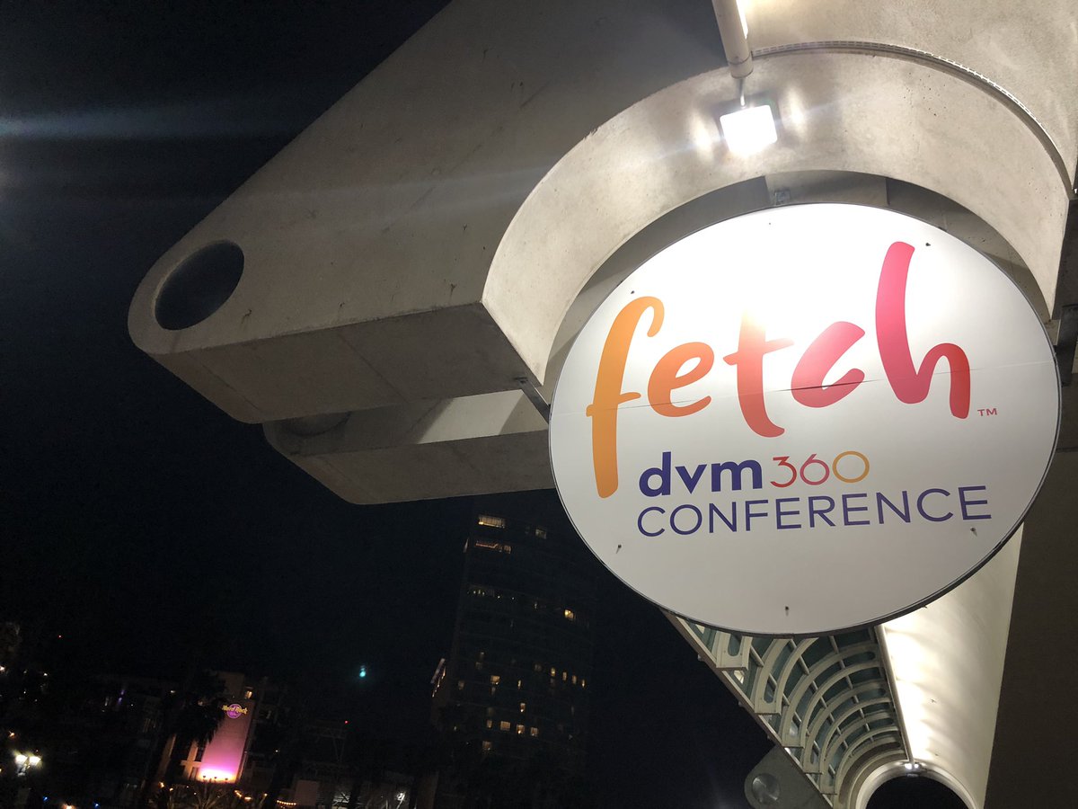 APCCvet's tweet image. Are you an introvert, extrovert or ambivert? 

Our office manager is learning all kinds of things to bring back to our hospital this weekend at #FetchDVM360 conference right now.