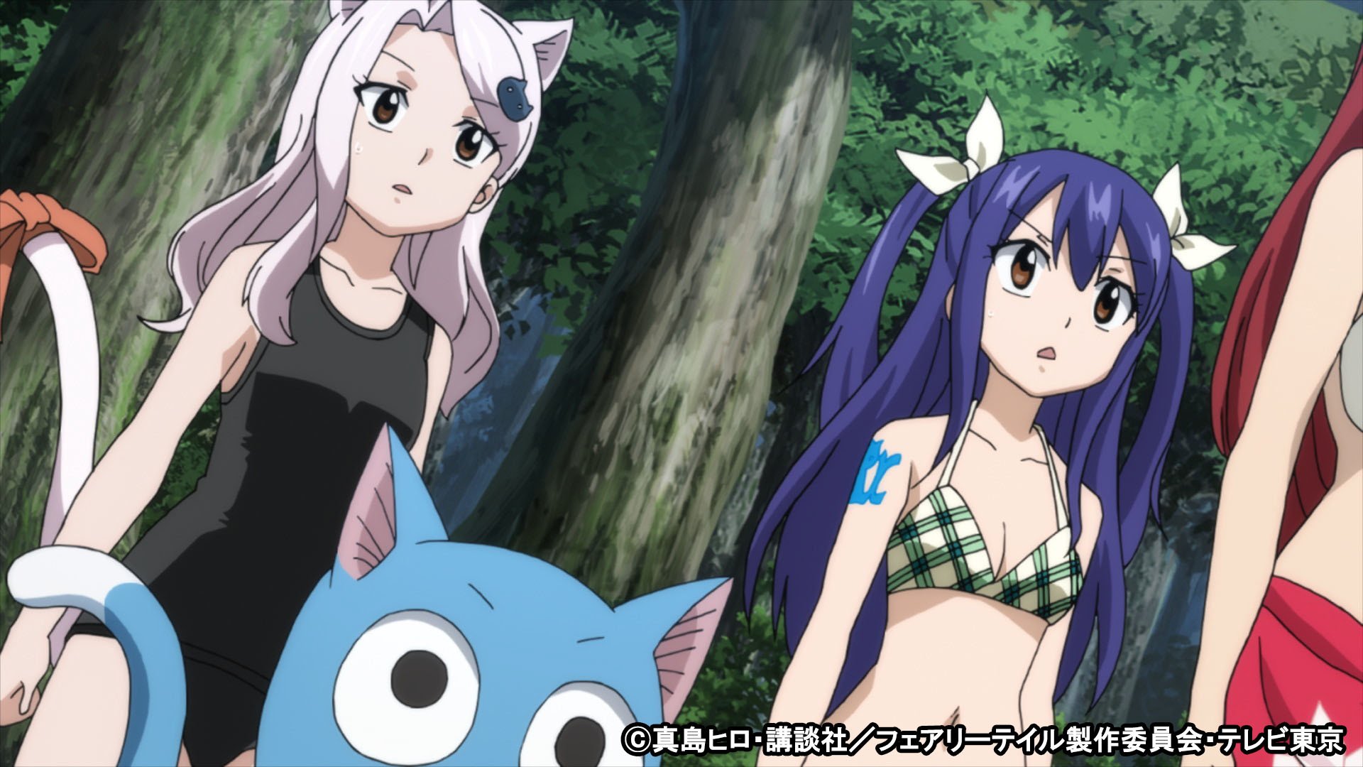 FAIRY TAIL-フェアリーテイル FAIRY TAIL（33）』（真島 ヒロ）｜講談社