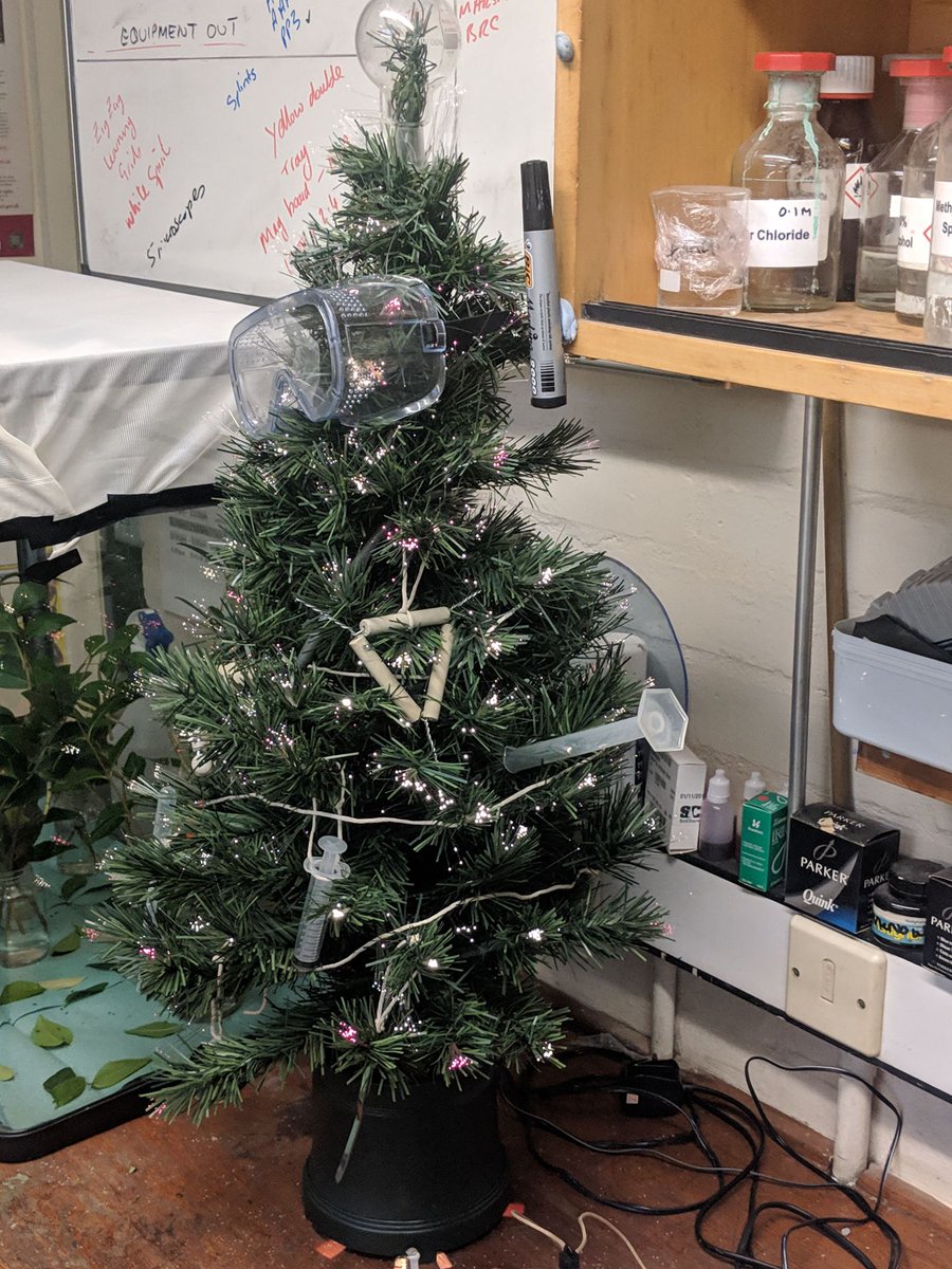 HSLC_Science's tweet photo. @hornseaschool science competition taking place.

Competition :- To name as many scientific pieces of equipment attached to the Christmas tree, the person with the highest number of correctly identified pieces of equipment shall win a selection box. https://t.co/TWMR3r8KpP