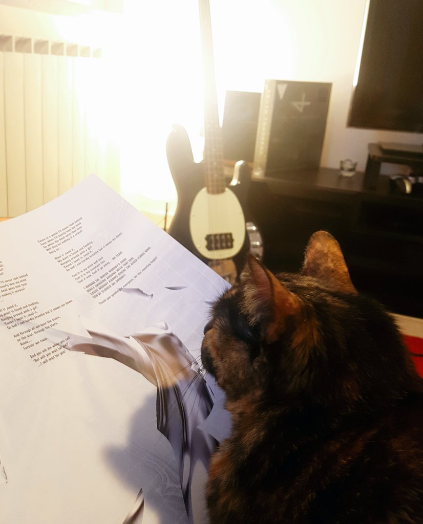 TheStuz's tweet photo. My cat's enjoyng #AcceleratedEvolution by @dvntownsend from the new #Eras box set. And me, as well. https://t.co/hdU4iGrdHO