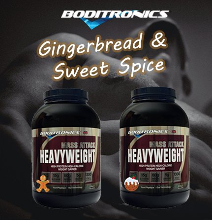 BoditronicsLTD's tweet photo. Our new great festive flavours are Gingerbread &amp; Sweet Spice. Which one will you choose? #boditronics #supplements #bodybuilding #fitspo #fitspiration #transformation #health #fitness #fitfam #ukfitfam #ukfitness https://t.co/FfA0R1z37H